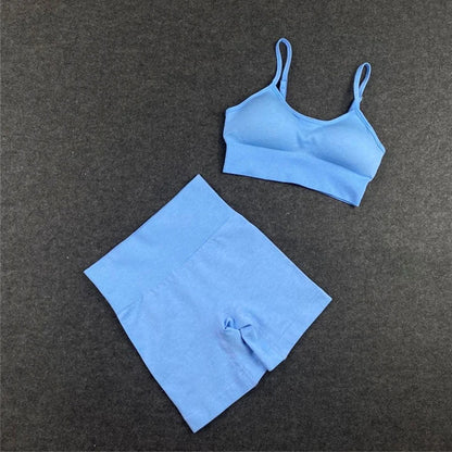 Seamless Women Yoga Set