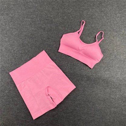 Seamless Women Yoga Set