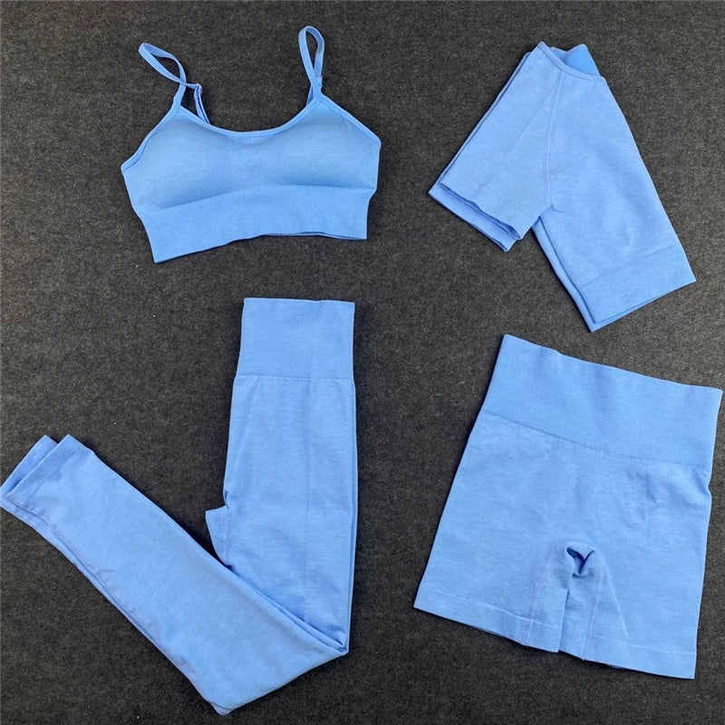 Seamless Women Yoga Set