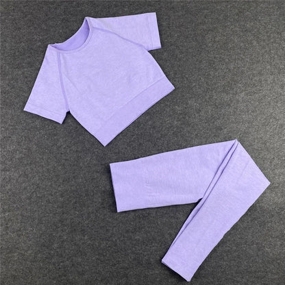 Seamless Women Yoga Set