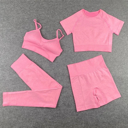 Seamless Women Yoga Set