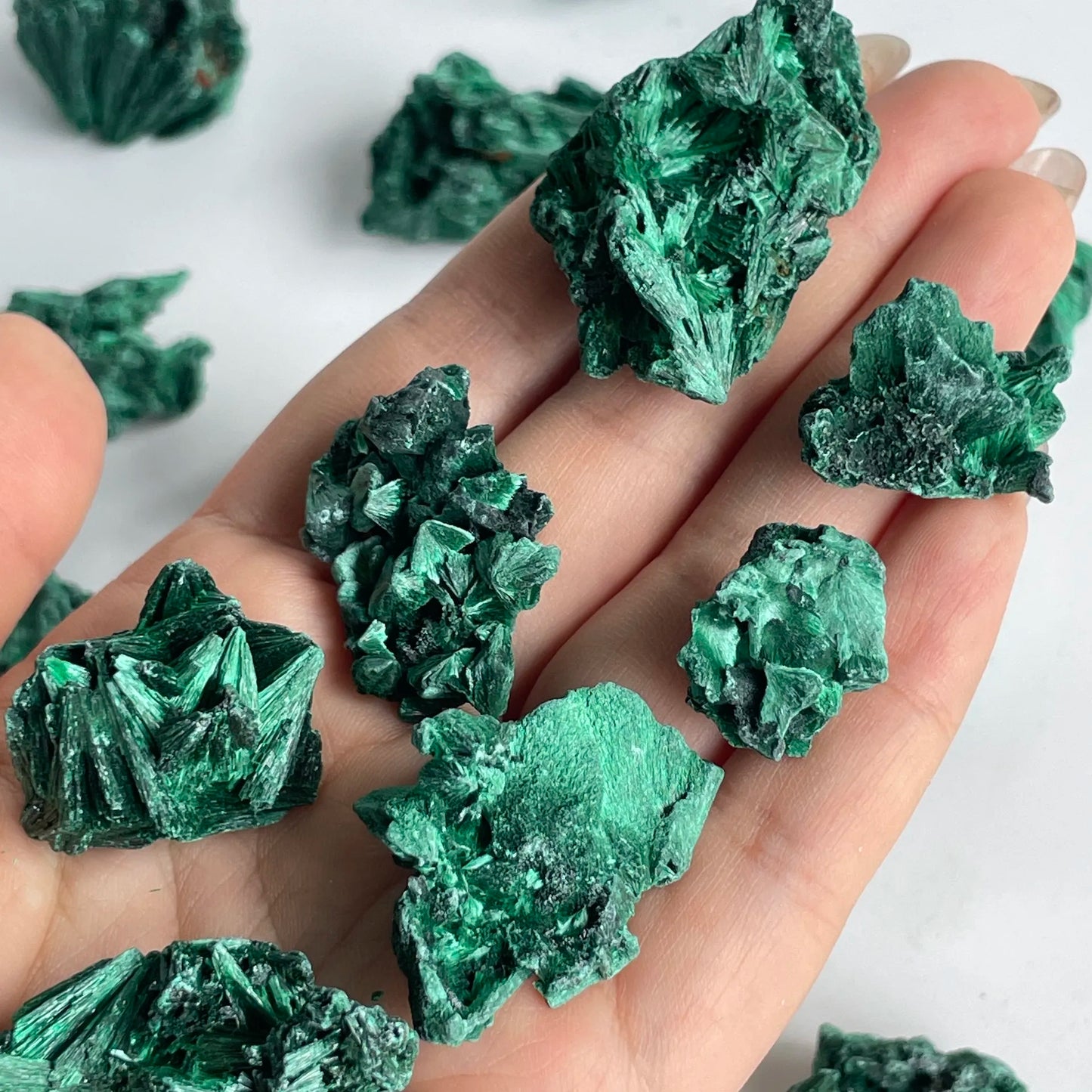 Velvet Malachite Raw Specimen Mineral Collection